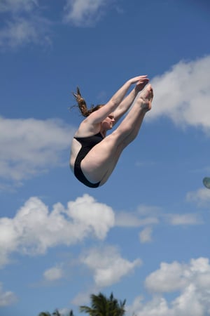 Images High Dive Champions