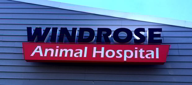 Images Windrose Animal Hospital & Urgent Care