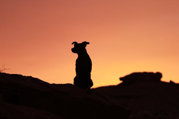 Images Dufford Waldeck