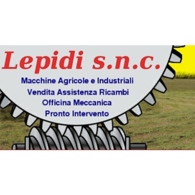 Lepidi Piero Paolo Snc Logo