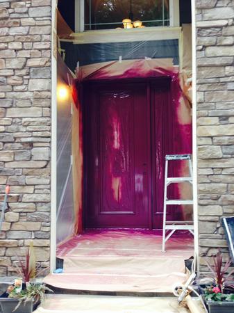 Images Chameleon Painting LLC