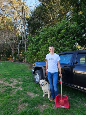 Images K9 Poo Removal