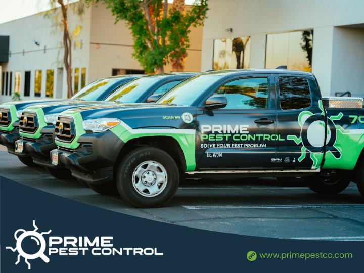 Images Prime Pest Control Las Vegas