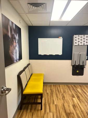 Images VCA Castle Shannon Animal Hospital