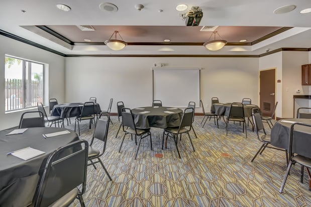 Images Holiday Inn Express & Suites Tampa -Usf-Busch Gardens by IHG