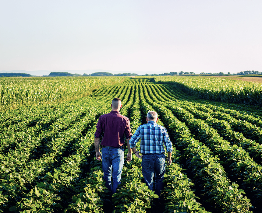 Two farmers reviewing the progress they've made in the field.