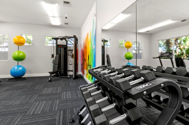 Images Miramar Apartments