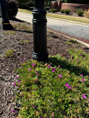Images Clearwater Property Management