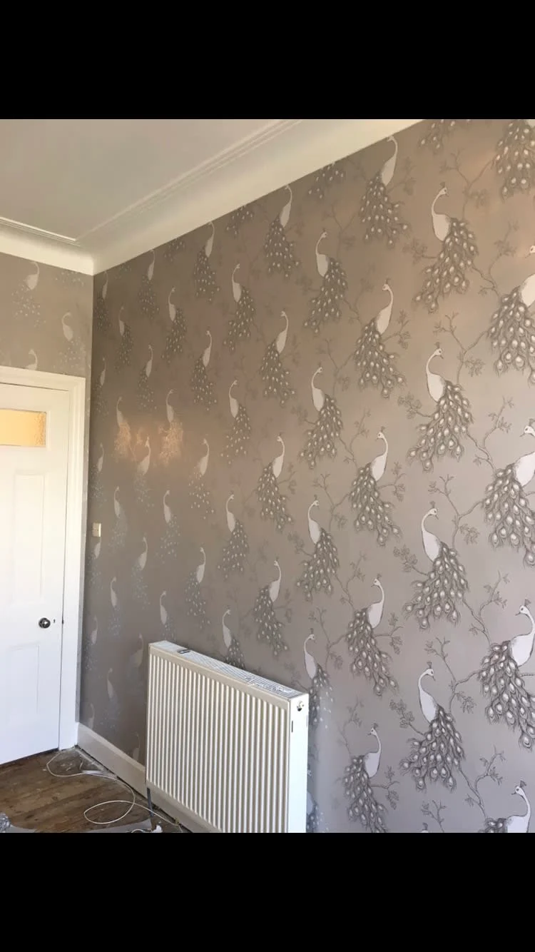 Images Broomhill Painters & Decorators