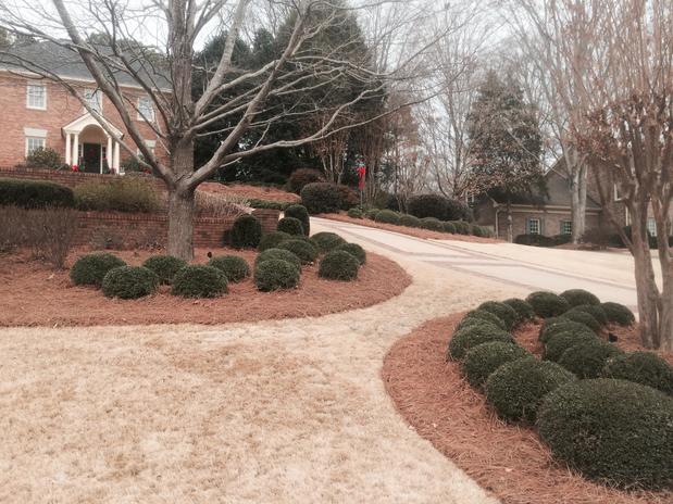 Images L-Chavez Landscaping Services