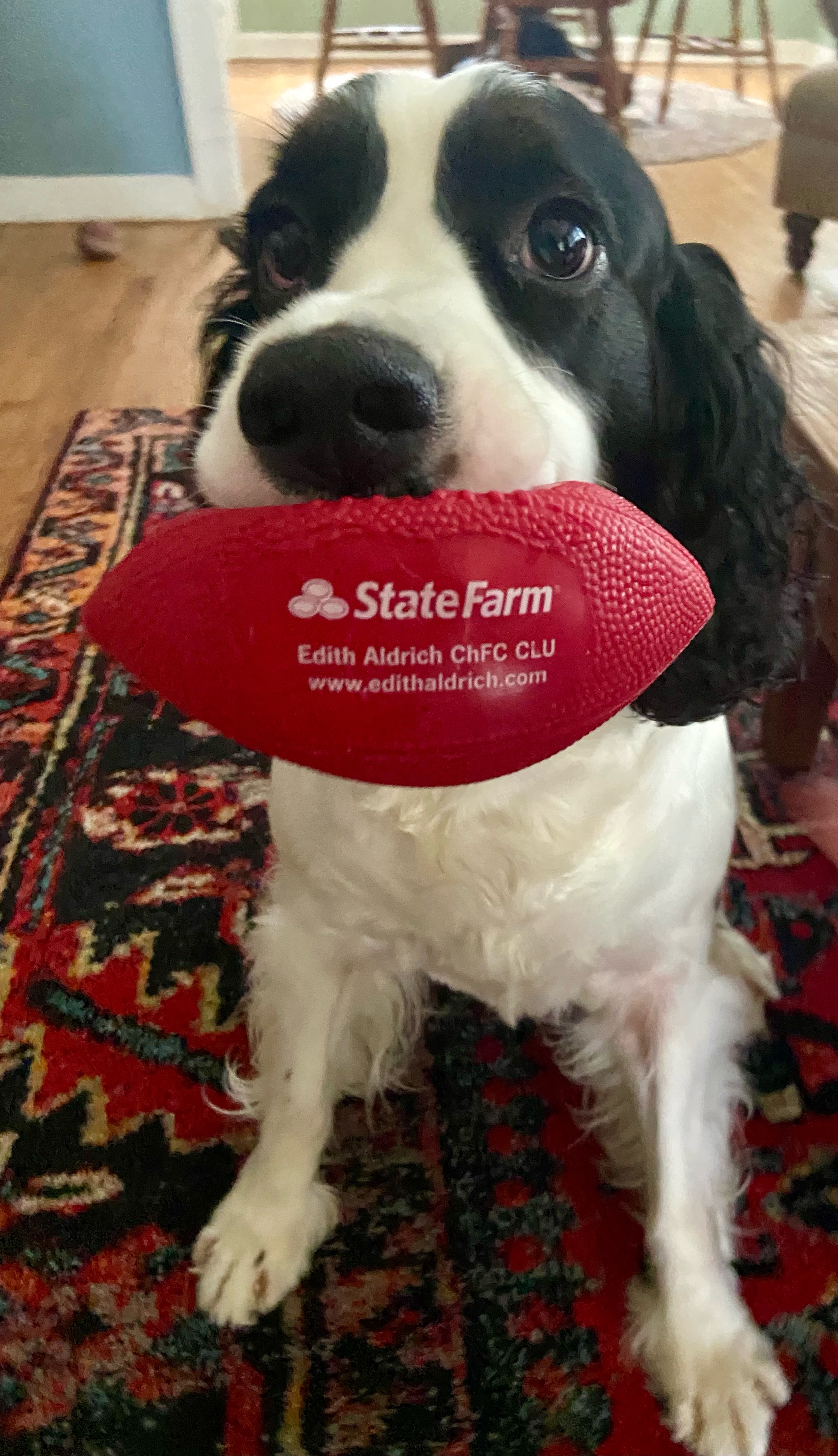 Edith Aldrich - State Farm Insurance Agent Image