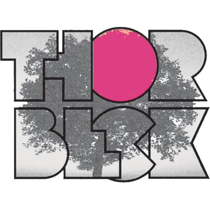 Logo Schreinerei Michael Thorbeck