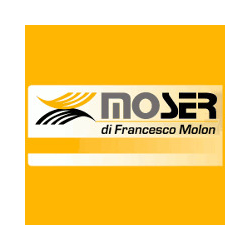 Mo.Ser. - Francesco Molon Logo