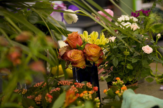 Maarsen Blumengeschäft, Moserstrasse 9 in Bern