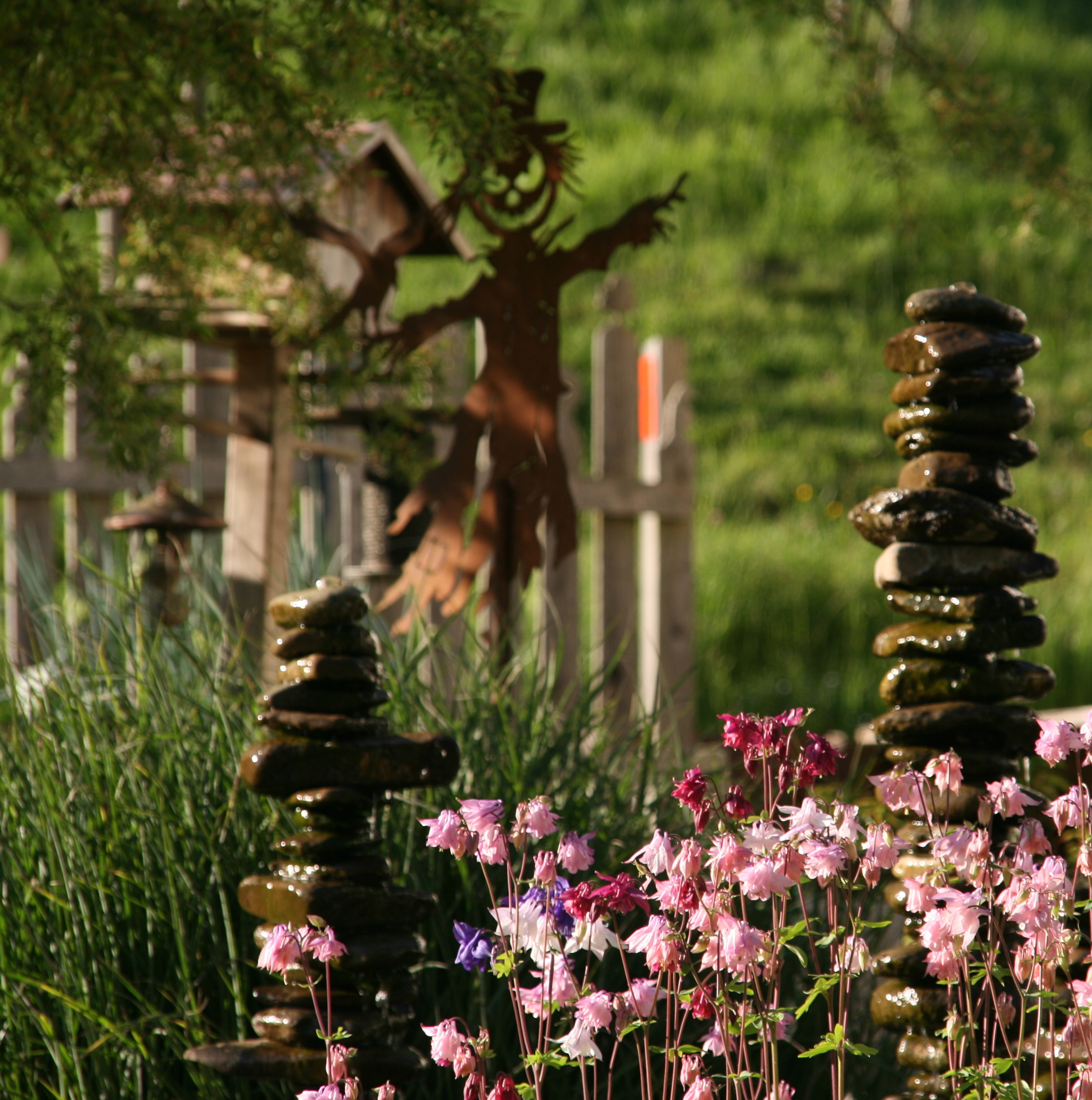 Bild 72 von Grün-Zone