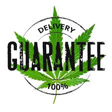 Legal Weed Supplier Logo