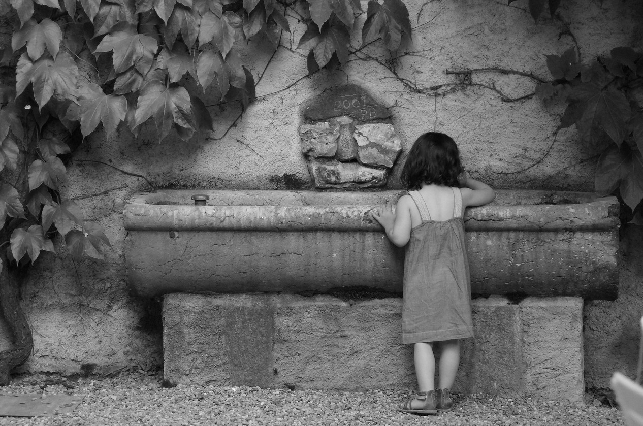 dg photo creator, Erlenstrasse 89 in Richterswil