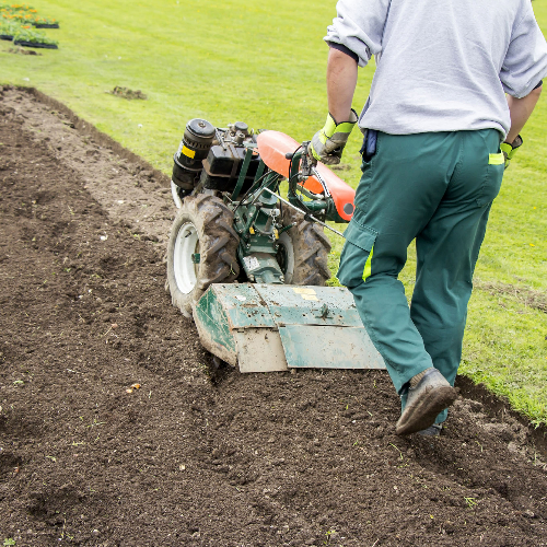 Orange County Gardening