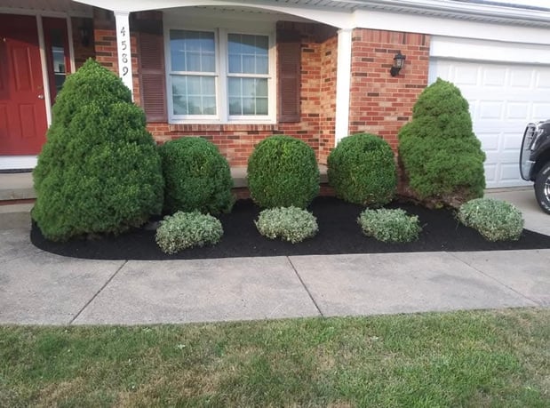 Images Modern Landscape & Maintenance