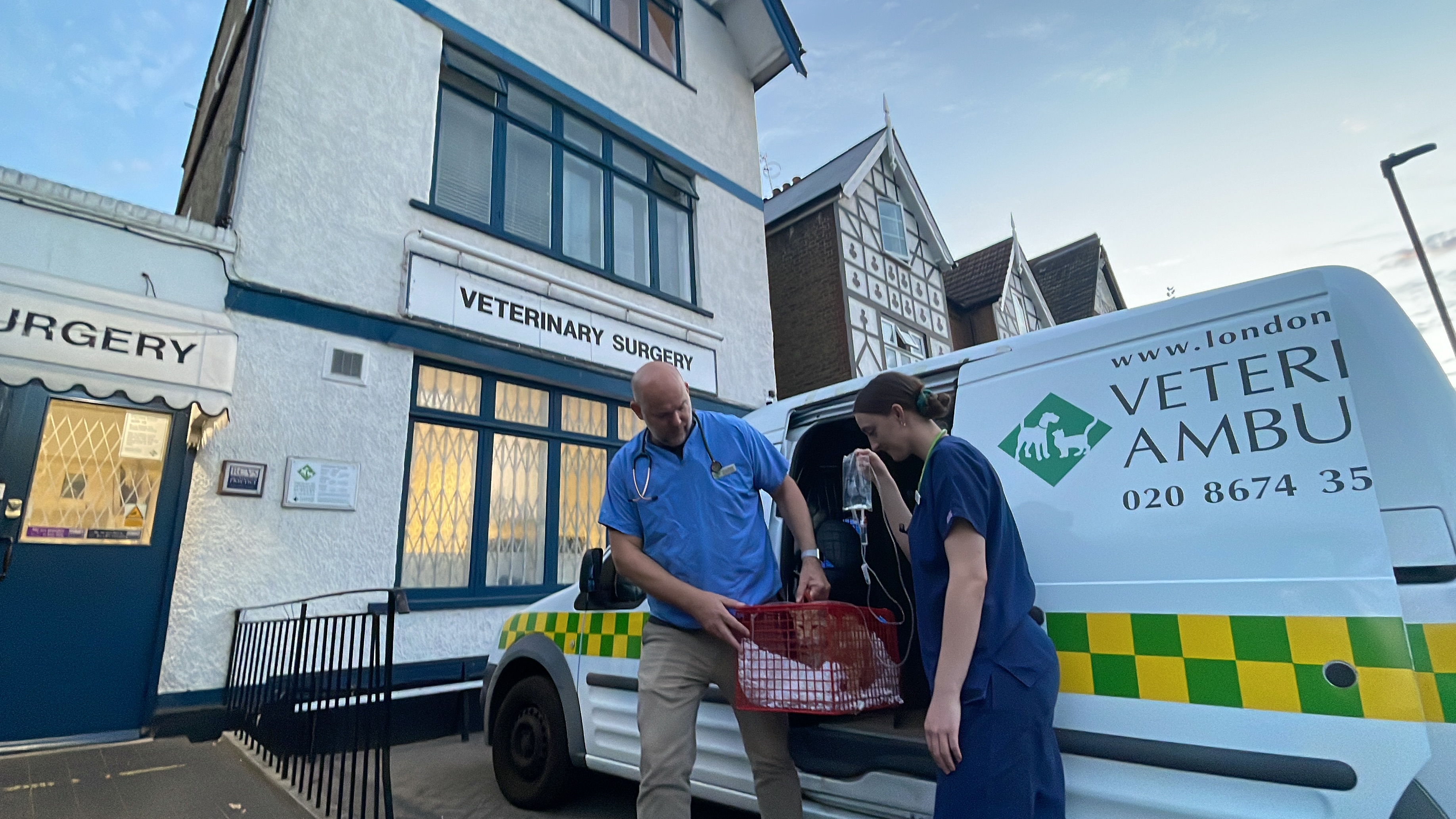 Images Streatham Hill Veterinary Surgery
