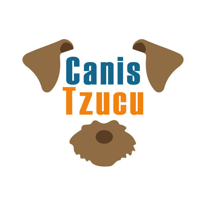Canis Tzucu Pinto