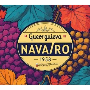 Gueorguieva Navarro Logo