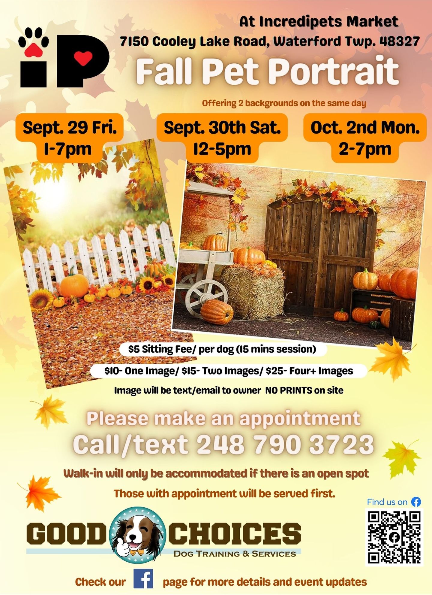 Image of Local Pet Event Fall Pet Portrait Event with Good Choices Dog Training Nearby