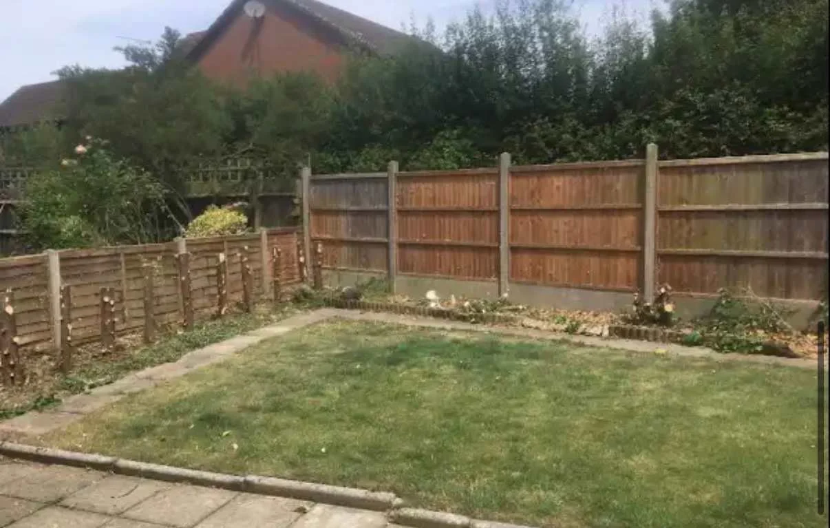 Images Tree Doctors & Landscaping