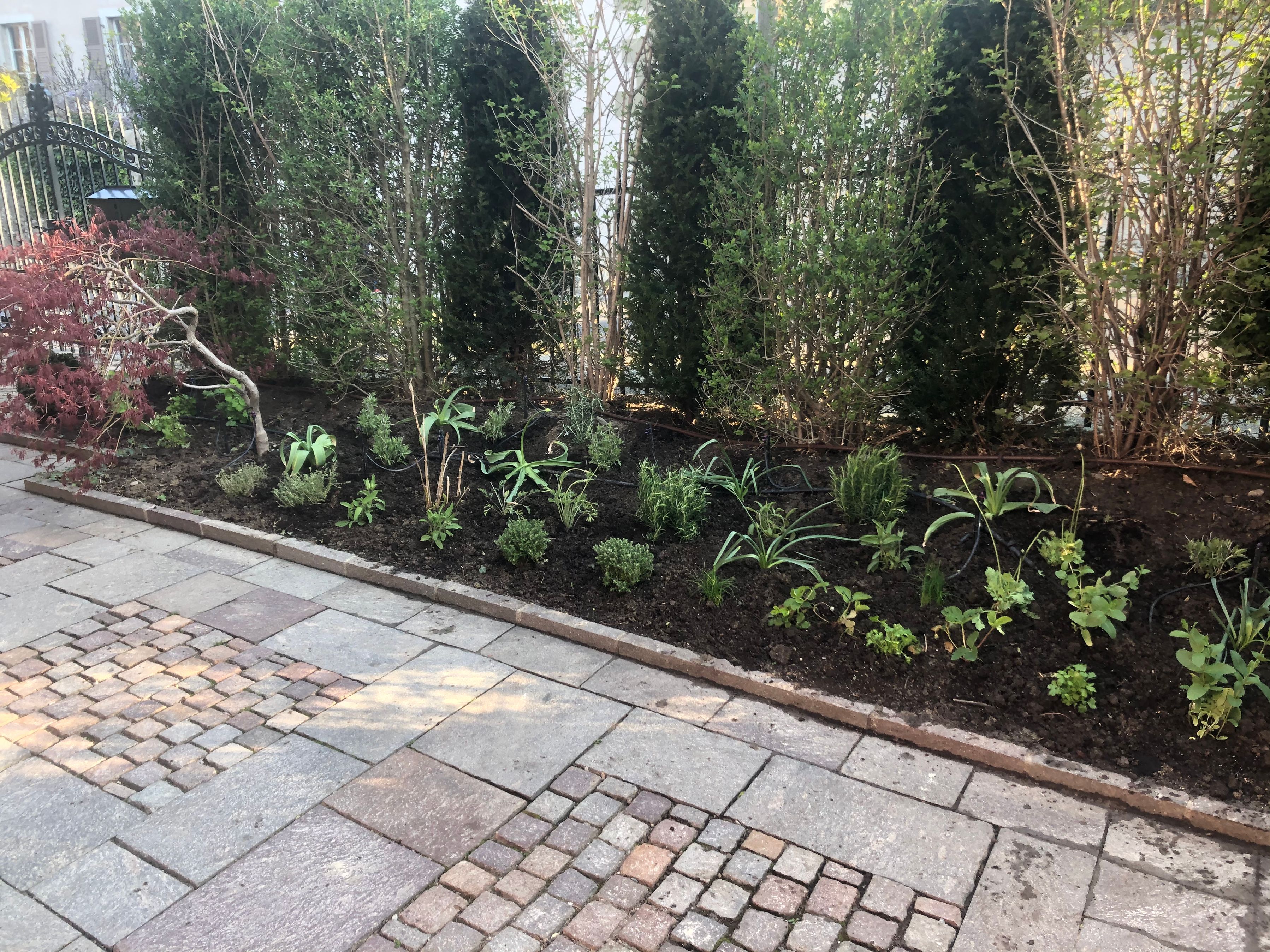 Bilder Royal Jardin sarl