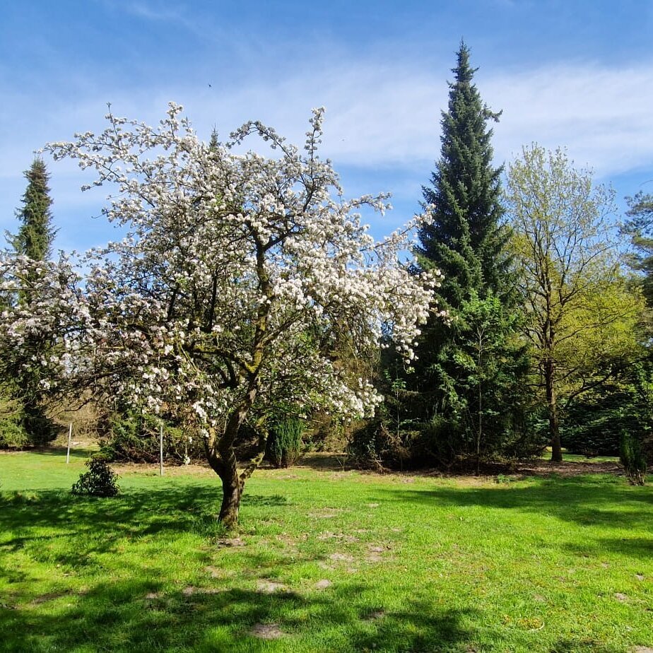 Ferienhaus Sommer, Elpersbüttelerdonn 15 in Elpersbüttel