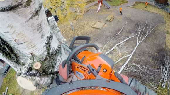 Images Touran Puu-apu Oy