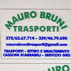 Mauro Bruni Trasporti Logo