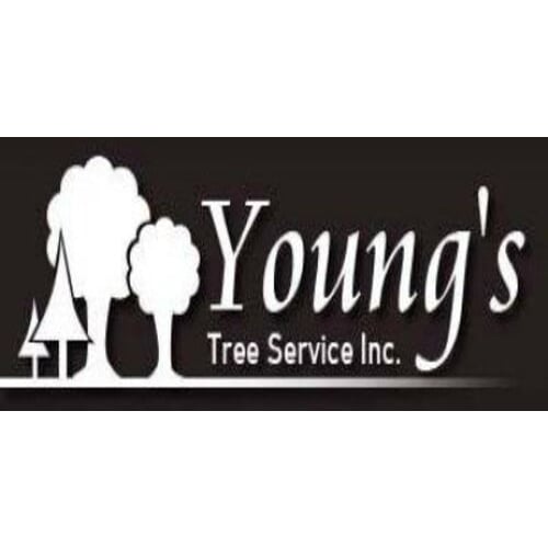 Young's Tree Service Logo
