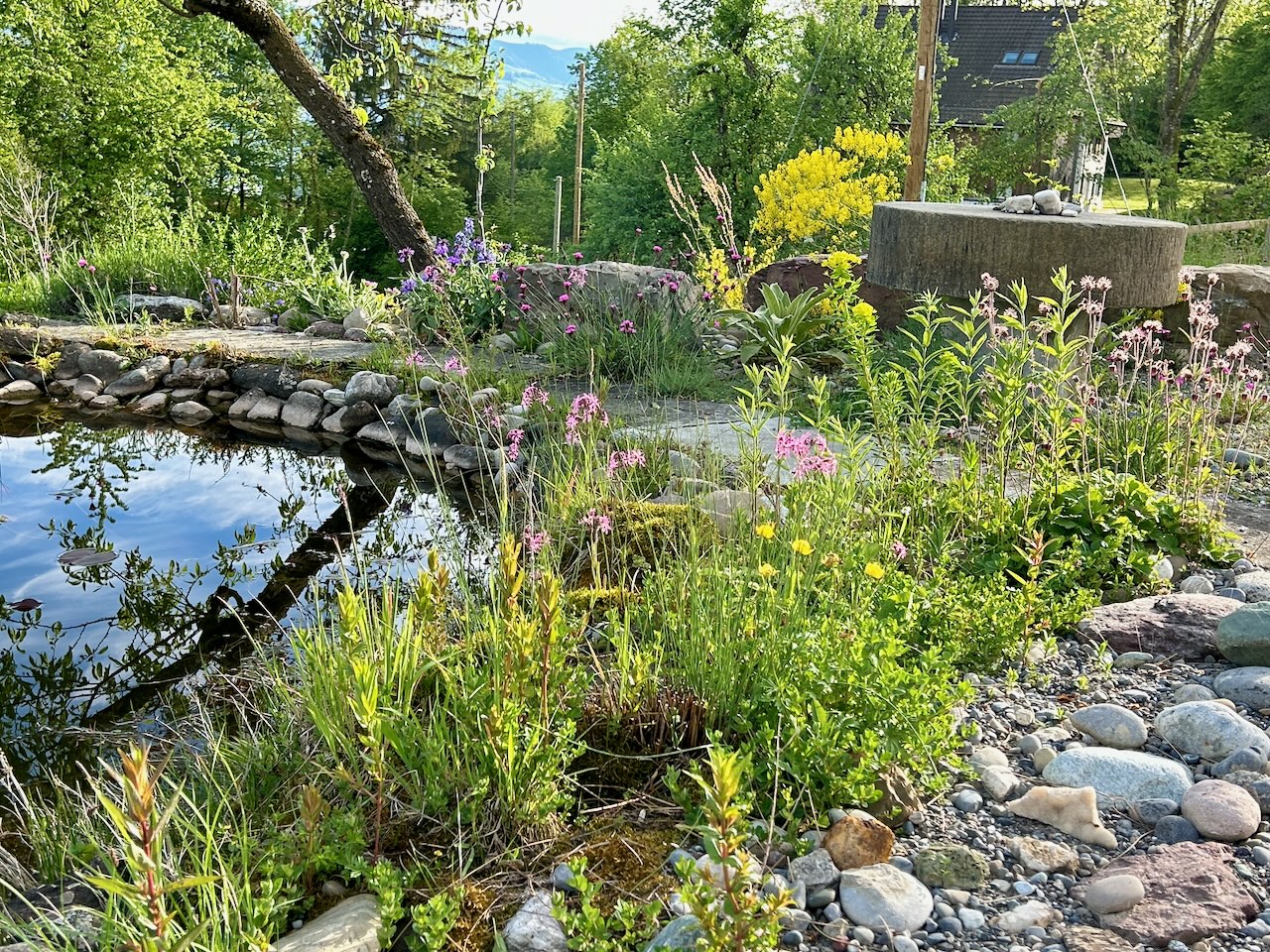 Bilder Wildblumendienst