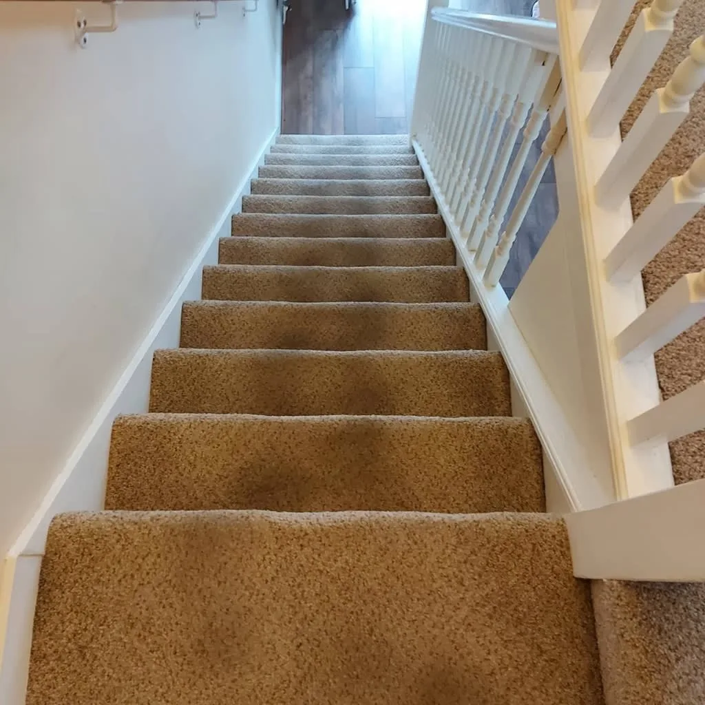 Images Titanium Cleaning