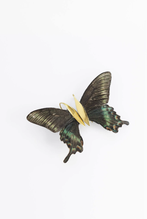 Images Hillary Jackson Designs