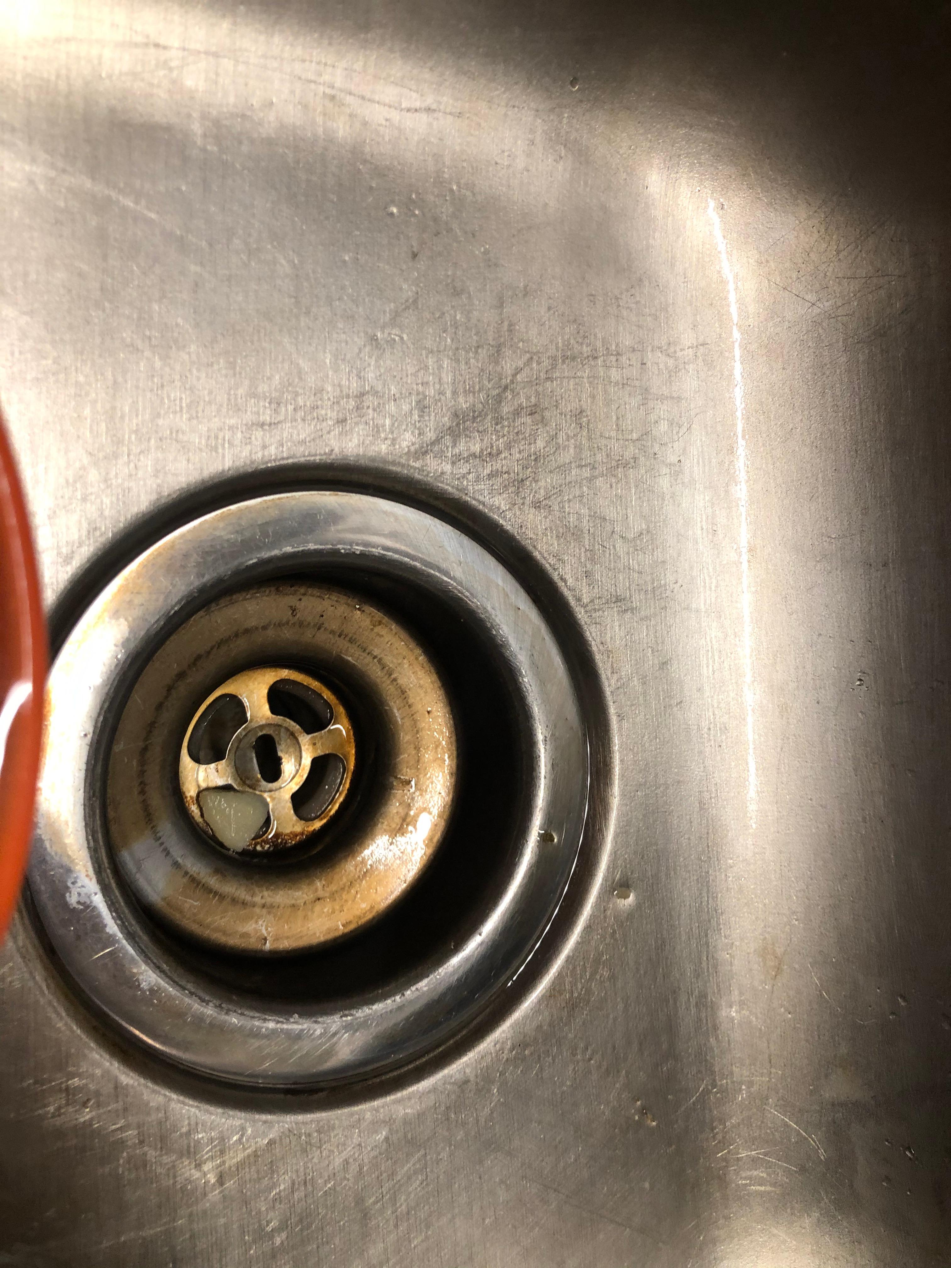 Maid in East Texas Image