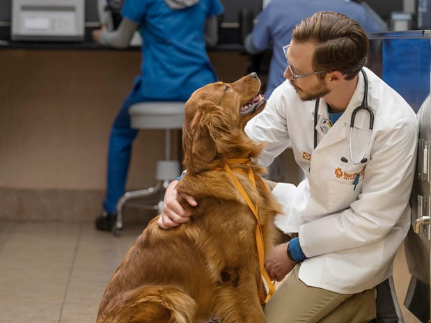 Images Banfield Pet Hospital