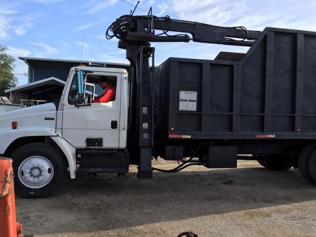 Images Miller Son Tree Service
