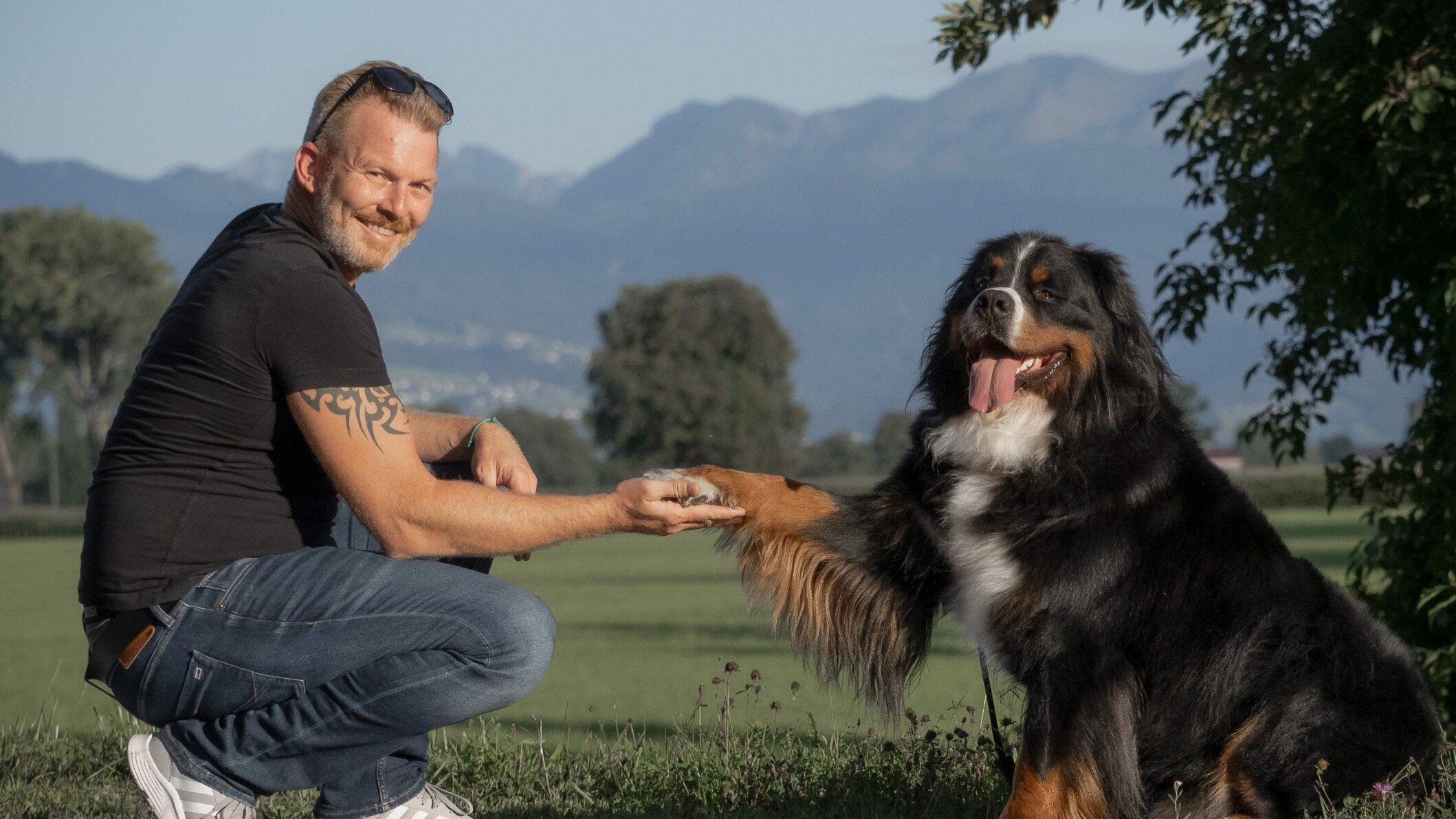 Alpha Hundetraining e.U., Franz-Reiter-Straße 20 in Höchst