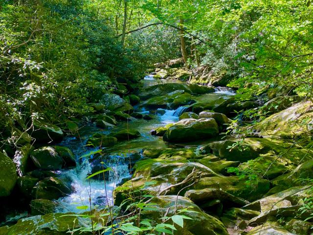 Images Brent Maudlin - State Farm Insurance Agent