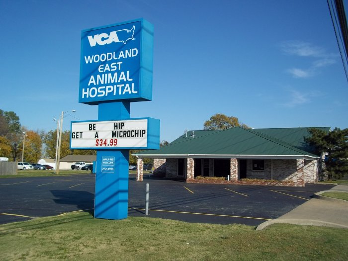 Image 8 | VCA Woodland East Animal Hospital