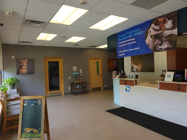 Images VCA Lantern Road Animal Hospital