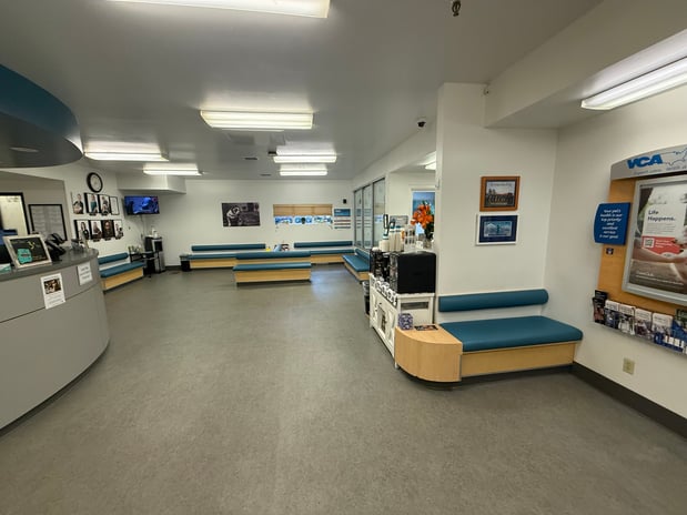 Images VCA Southeast Portland Animal Hospital