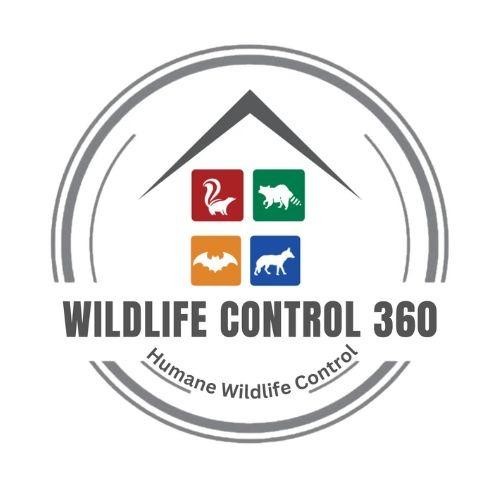 Wildlife Control 360 - Temecula, CA 92591 - (951)246-6173 | ShowMeLocal.com