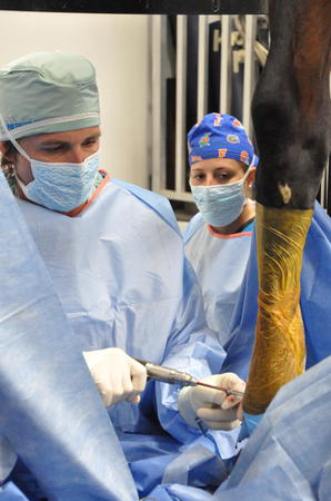 Images Palm Beach Equine Clinic