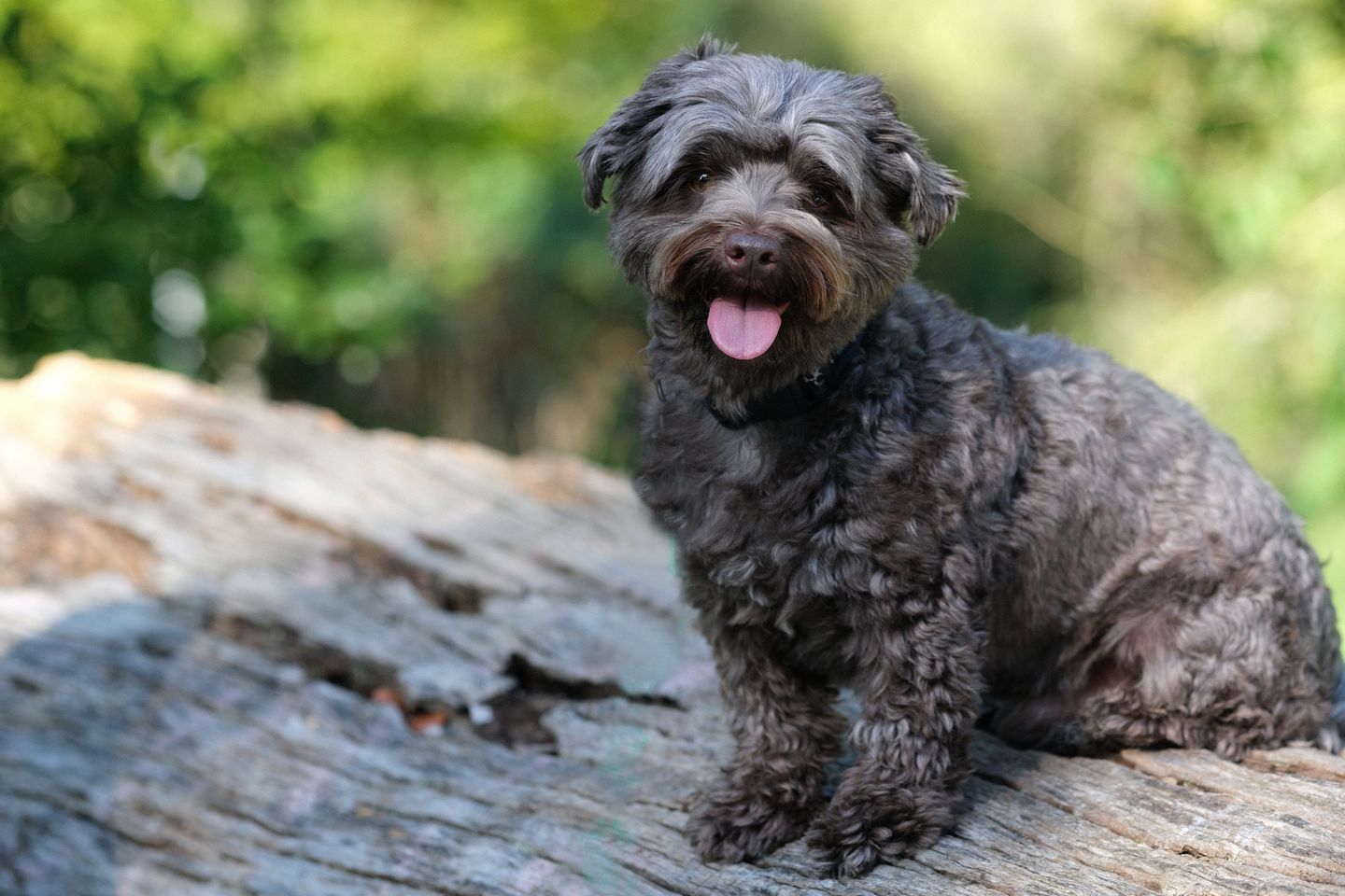 Foto Event- DreherEck, Bertastr. 82 in Düsseldorf