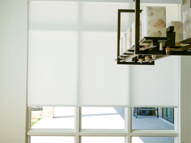 Images Made in the Shade Northeast Austin