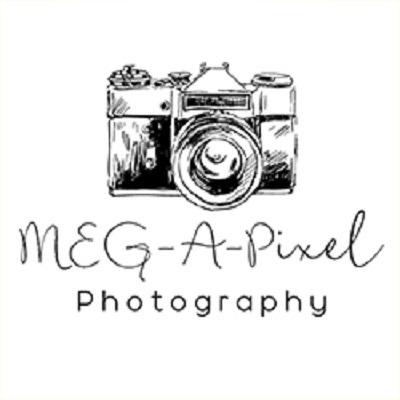 Meg-A-Pixel Logo