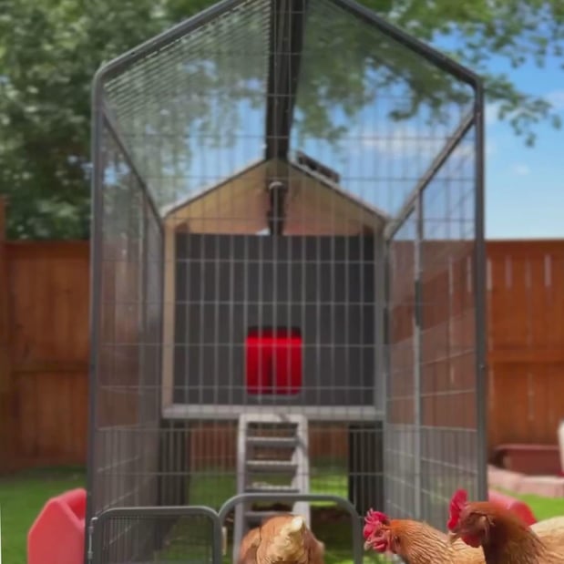 Images Smart Chicken Coop | Coop.Farm